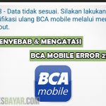Penyebab dan Cara Mengatasi BCA Mobile Error 213