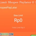 Penyebab dan Cara Mengatasi Limit Shopee Paylater 0